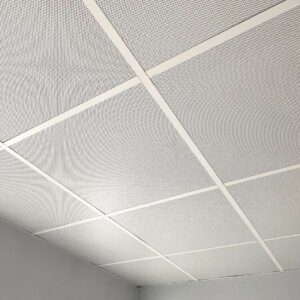 Antimicrobial Dampa Ceiling